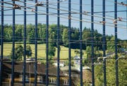 Impressionen aus dem Bildband: In der Fassade des Rathauses spiegelt sich der Berneggwald. (Bilder: Sandro Reichmuth)