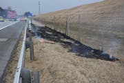 Das Feuer brach neben der Autobahn aus. (Bild: Kapo SG)