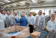SVP-Kantonsräte fasziniert von Bürsten und deren Herstellung (Bild: Martin Knoepfel)
