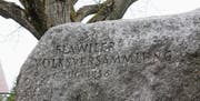 Der Findling wurde 1986 – 150 Jahre nach der Volksversammlung für mehr Demokratie – im Beisein von Bundesrat Kurt Furgler als Gedenkstein gesetzt. Als Ort von geschichtlicher Bedeutung ist der Weidegg-Park fast eine Pflichtstation auf dem «Ortshistorischen Weg». (Bilder: Andrea Häusler)