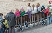 Über 90 Prozent der Besucherinnen und Besucher waren mit Angebot und Stimmung an der Olma zufrieden. (Bild: Hanspeter Schiess)