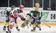 Der HC Thurgau musste gegen Winterthur bis fast zur Schlusssirene um seinen Sieg bangen. (Bild: Sports-Media.ch/Alessandro Santarsiero)