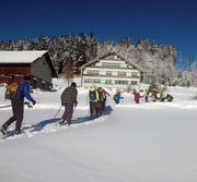 Mit Schneeschuhen an den Füssen und begleitet von einer strahlenden Wintersonne zogen die Läufer über frisch verschneite Hügel und Wege. (Bild: PD)