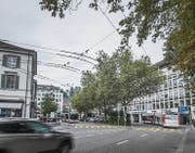 Die Platanen am Oberen Graben bleiben stehen. Dort waren Ein- und Ausfahrt des Parkhauses Schibenertor geplant. (Bild: Michel Canonica)