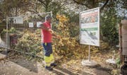 Nur noch bis zum Dezember bleibt die Gartenabfall-Sammelstelle beim Kompostplatz Schlössli in Haggen geöffnet. (Bild: Urs Bucher)