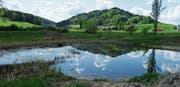 Der ausgebaggerte Weiher im Botsberger Riet, wie er sich nun nach der Instandstellung Pflanzen, Tieren und Erholungssuchenden präsentiert. (Bild: PD)