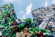 PET-Flaschen aus der Region werden von der Müller Recycling AG in Frauenfeld zu neuen Flaschen verarbeitet. (Bild: Reto Martin)