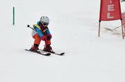 Die Piste präsentierte sich am Schülerskirennen gut präpariert. (Bild: PD)