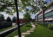 Guten Bauen Ostschweiz, Schulanlage Feldli St. Gallen (Bild: Hanspeter Schiess)