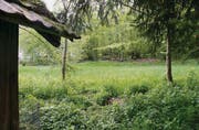 «Riedwiese und naturnaher Wald»: Das Gebiet «Im Grund» liegt heute in der Wohn-Gewerbezone. Der Stadtrat möchte, dass dies so bleibt. (Bild: Tobias Hänni)