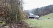 In einem Wald nahe des ehemaligen Munitionsdepots wurde das Todesurteil gegen den Fahrer S. vollstreckt. (Bild: Philipp Stutz)