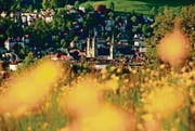 Altstadt durch die Blume: Das Kalenderbild im Mai. (Bild: Sandro Reichmuth)