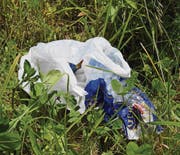 Weggeworfener Abfall führt zu höherem Arbeitsaufwand und damit zu Mehrkosten für die Gemeinden. (Bilder: Urs M. Hemm)