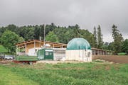 Die Biogasanlage beim Weiler Bommershüsli mit dem Trutenmastbetrieb im Hintergrund. (Bild: Thi My Lien Nguyen)