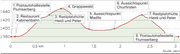 WP-Profil_19_01_2017