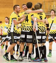 Zum ersten Mal seit 2013/14 haben die Gators den Playoff-Halbfinal erreicht – und das nach Quali-Rang acht. (Bild: Archiv/Lars Tinner)