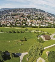 Geht es nach den Jungen Grünen, sollen auf Dreilinden keine Überbauungen mehr realisiert werden dürfen. (Bild: Michel Canonica)