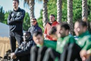 Beobachten unter spanischer Sonne das Training: St.Gallens Sportchef Alain Sutter und Verwaltungsrat Stefan Wolf. (Bild: Andy Müller/Freshfocus)