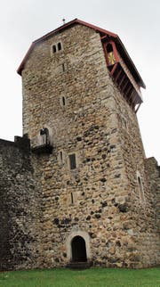 Joey Isenring ist oft auf der Burg anzutreffen. (Bild: Martin Knoepfel)
