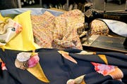 Designerstoffe für eine frische Sommermode im Stoffladen Walser. (Bild: PD)