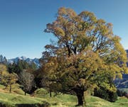 Diese Farben sind kaum zu beschreiben