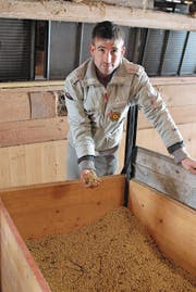 Xaver Ammann mit getrockneten Sojabohnen. (Bild: Christiana Sutter)