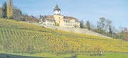 Der Schlosspark Grünenstein wird kulturhistorisch und ökologisch aufgewertet. (Bild: Oeplan)