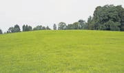Die Burgstockwiese am Ostrand von Andwil hat die Ruine Alt-Andwil gänzlich verschlungen. (Bild: Sebastian Schneider)