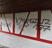Mehrere Fassaden der Arboner Altstadt wurden besprayt. (Bild: Max Eichenberger)