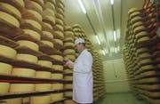 Appenzeller, soweit das Auge reicht: Die Sortenorganisation wehrt sich gegen eine «Verwässerung» der Marke. (Bild: Ralph Ribi/Archiv)