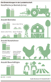 Die Toggenburger Landwirtschaft setzt auf grössere Flächen und mehr Nutzhühner. (Bild: Grafik: fr)