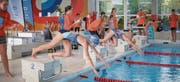 St. Gallen - Gallusfisch Schüler Schwimmen Wettschwimmen (Bild: (Ralph Ribi))