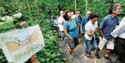 Bauvisiere und Pläne zeigen momentan vor Ort, was gebaut werden soll. Und ja: Auch der eine oder andere Baum wird für den Bau der Bachsperren und der Unterhaltsstrasse gefällt werden müssen. (Bild: Max Tinner)