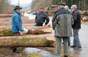 Während des öffentlichen Rundgangs um den Wertholz-Submissionsplatz Henau der Holzmarkt Ostschweiz AG wurden die Interessierten von Revierförster Bruno Cozzio (links) über die für die Stämme gebotenen Preise informiert. Gekauft werden konnte nicht mehr. (Bild: Andrea Häusler)