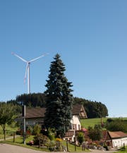 Die Windpark-Gegner befürchten, dass es im Wuppenauer Weiler Greutensberg dereinst so aussieht. (Bild: Bildmontage/Margrit Gähler)