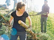 Es sieht nur so aus, als würden die beiden gegeneinander arbeiten. Tatsächlich ziehen bzw. stossen sie beide (nach links) den Hang hinauf. (Bilder: mt)