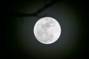 Wolf Moon Kansas (Bild: Keystone)