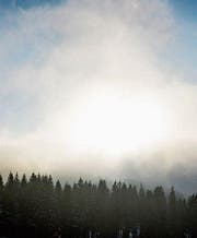 Heute, am 21. Dezember, ist Wintersonnenwende. (Bild: PD)