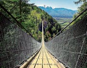 Eine ähnliche Hängebrücke könnte bald Grub SG und Grub AR verbinden, vorausgesetzt, die Bevölkerung stimmt zu. (Bild: Nils Vollmar)