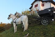 Die beiden Pferde rissen in einer Linkskurve aus. (Bild: (Kapo/SG))