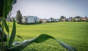 Im Gebiet «Betten Süd» sollen weitere Häuser entstehen. Die Landwirtschaftszone wird dafür in eine Wohnzone umgezont. (Bild: Urs Bucher)