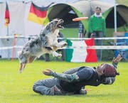 Hundefrisbee Weltmeisterschaft (Bild: Urs Bucher (Urs Bucher))
