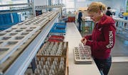 Höchste Sorgfalt gilt der Qualität und Rückverfolgbarkeit. (Bild: Ralph Ribi (Ralph Ribi))