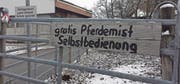 Pferdemist gratis abzugeben: Peter Ammann aus Schwarzenbach ist noch so froh um dankbare Abnehmer. (Bilder: Angelina Donati)