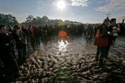 Sonisphere: Schlamm, soweit das Auge reicht. (Bild: Reto Martin)