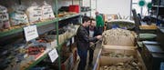 Im Army-Liq-Shop im Zeughaus findet jeder etwas, ob Kälberstrick, Velopedale oder Kampfstiefel. (Bilder: Ralph Ribi)