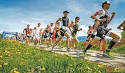 Rheintal-Duathlon: Neben Frühlingswiesen dem Ziel entgegen (Bild: pd)