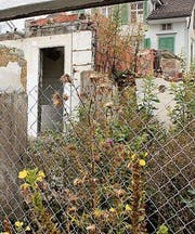 Rösslistrasse 13: Die Natur erobert sich das Areal zurück.