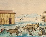 Frauen und Mädchen suchen mit Körben die Wiese nach essbaren Kräutern ab. (Bild: PD)