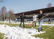 Flüchtlinge schaufeln das Spielfeld im Paul-Grüninger-Stadion frei. (Bild: Urs Bucher)